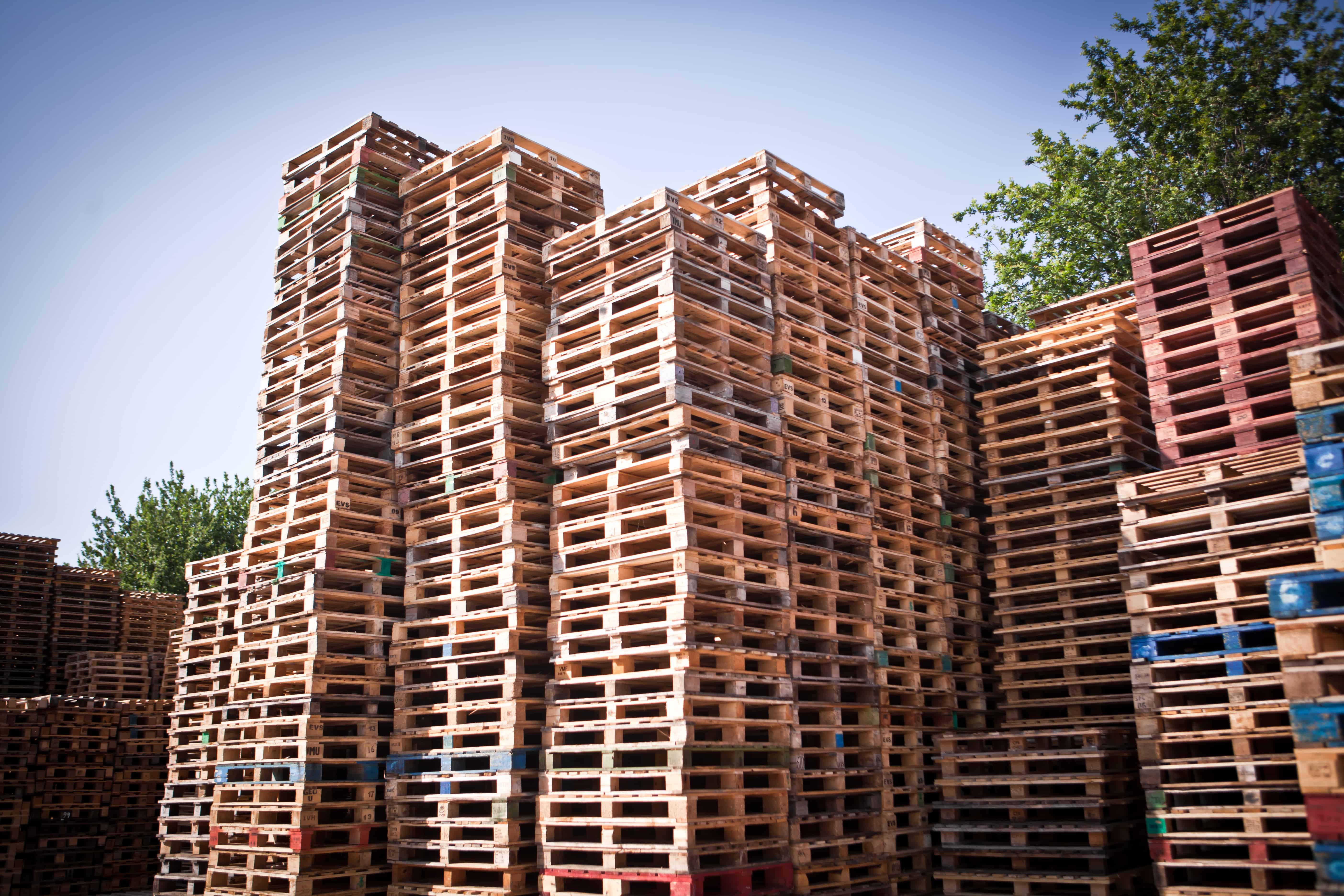 Smaltimento Pallet E Bancali In Legno – Corim